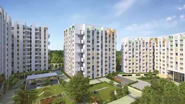 Rohan Anand, Somatane